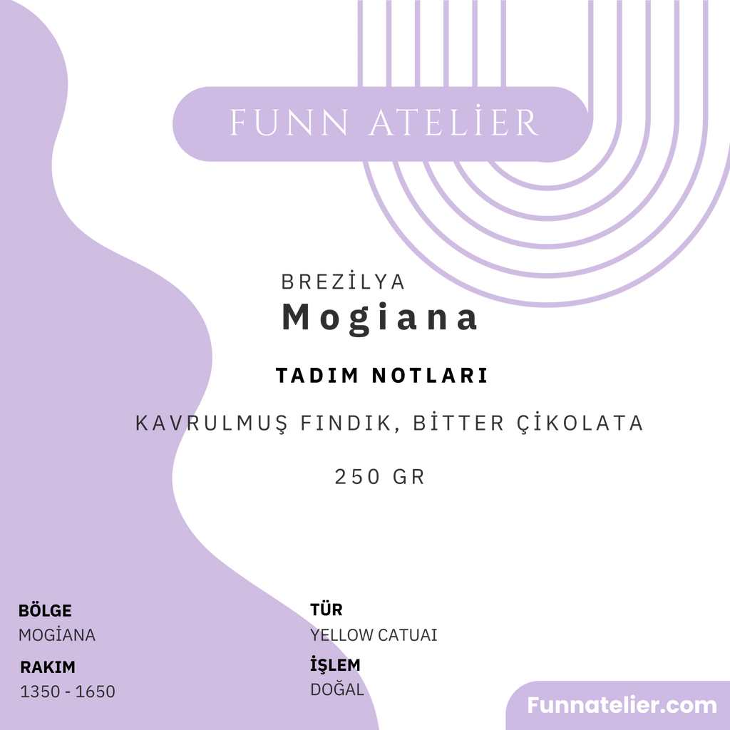 Brezilya Mogiana Filtre Kahve Çekirdeği - Funn Atelier